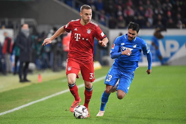 霍芬海姆球队遭遇成绩低迷,主帅面临批评声浪的简单介绍 霍芬海姆球队遭遇成绩低迷,主帅面临批评声浪的简单介绍